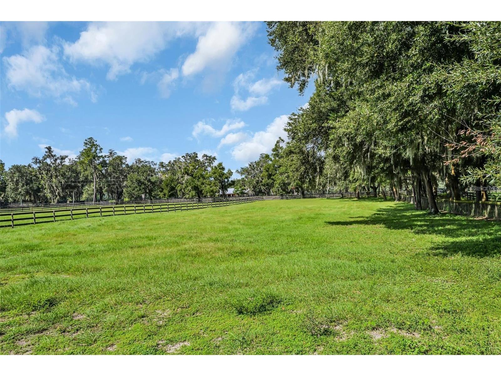 6155 NW 145th Ave Road Morriston FL 32668 OM724143 image19