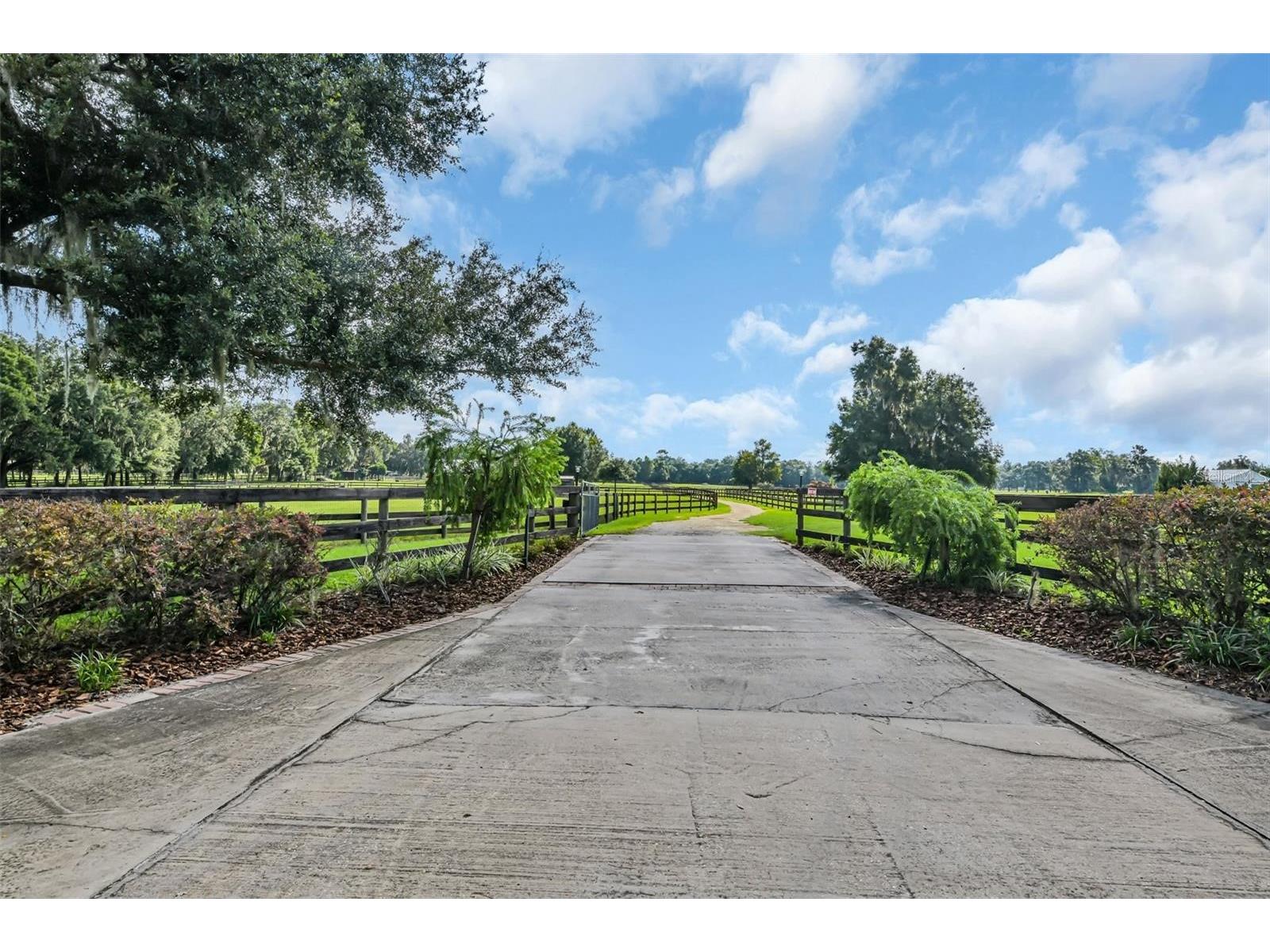 6155 NW 145th Ave Road Morriston FL 32668 OM724143 image2