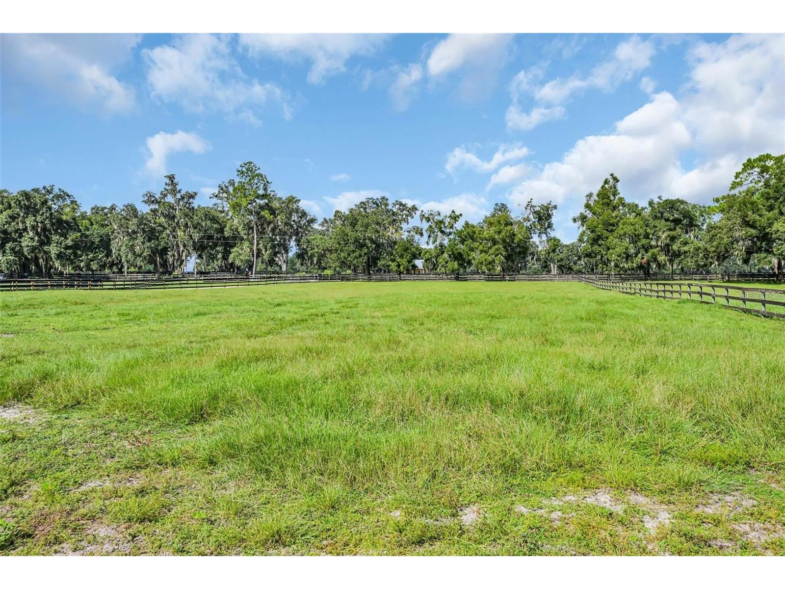 6155 NW 145th Ave Road Morriston FL 32668 OM724143 image20