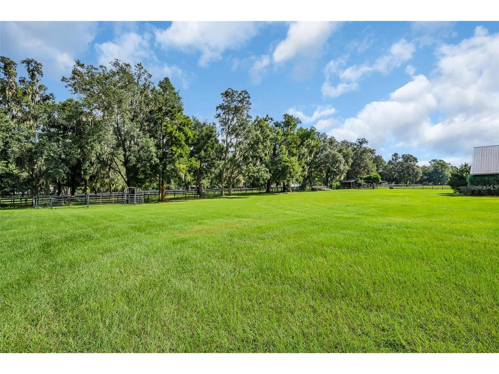 6155 NW 145th Ave Road Morriston FL 32668 OM724143 image21