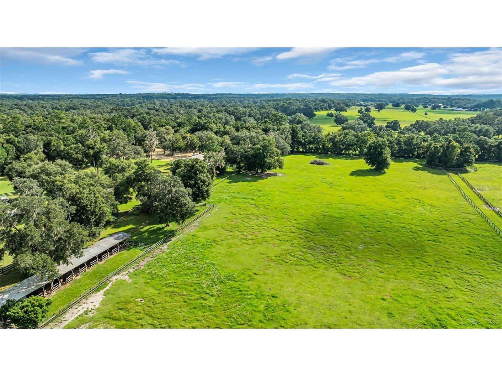 6155 NW 145th Ave Road Morriston FL 32668 OM724143 image24