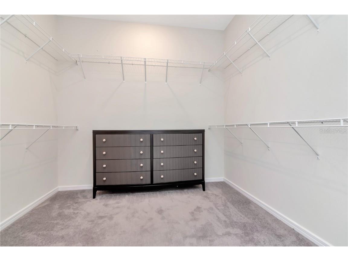 6156 Bradford Woods Drive Zephyrhills FL 33542 TB8423826 image19