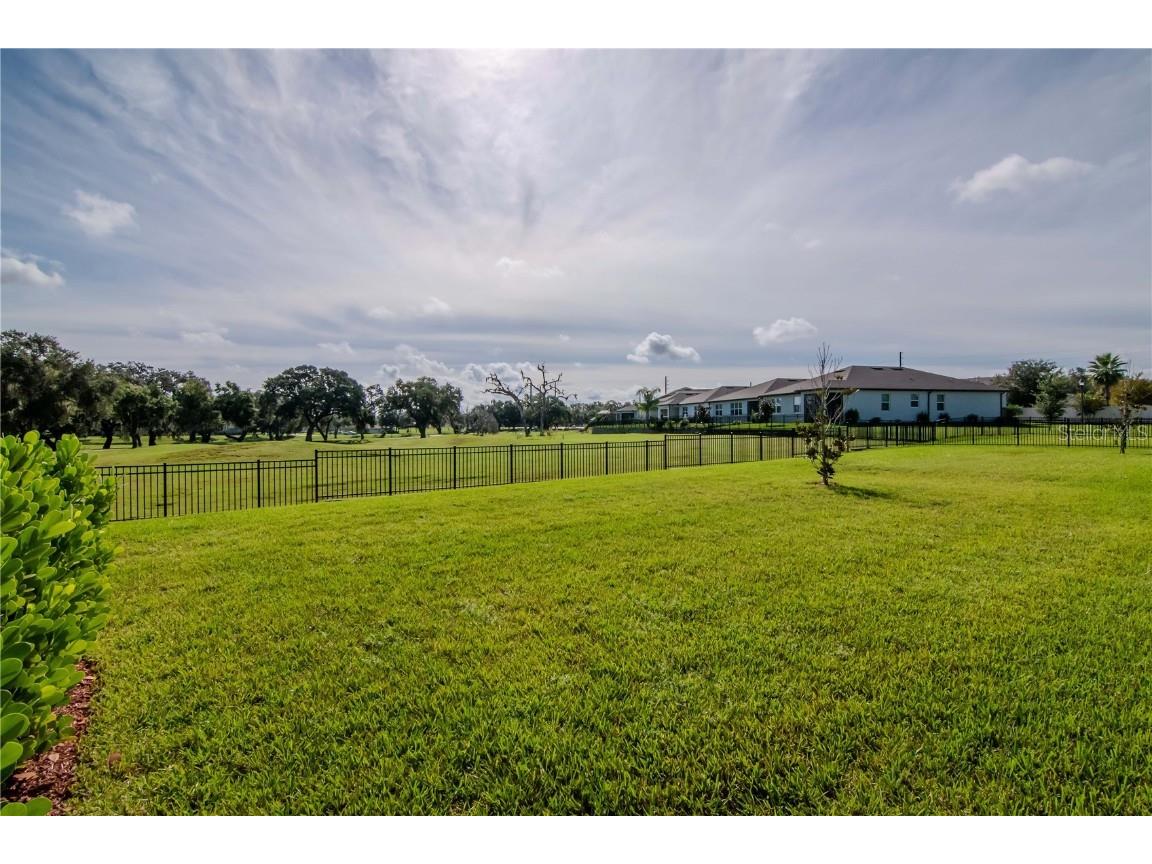 6156 Bradford Woods Drive Zephyrhills FL 33542 TB8423826 image2