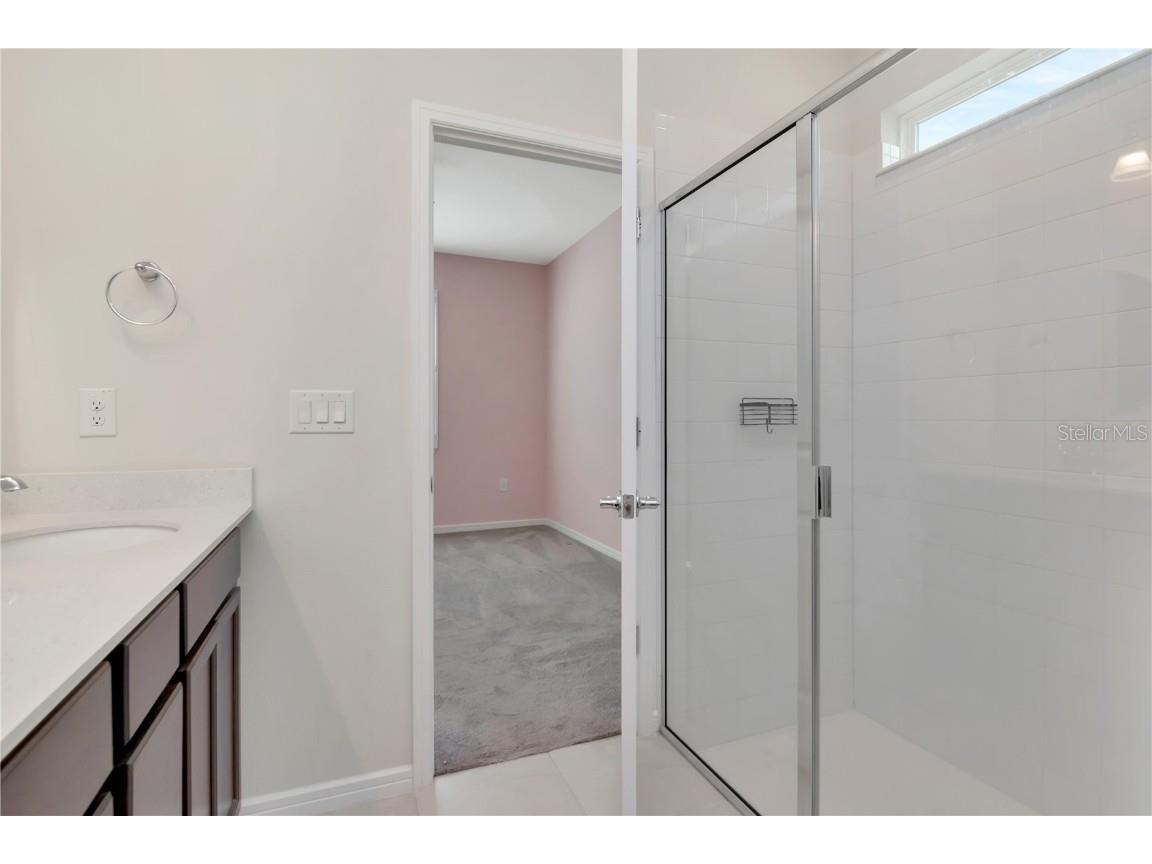 6156 Bradford Woods Drive Zephyrhills FL 33542 TB8423826 image33