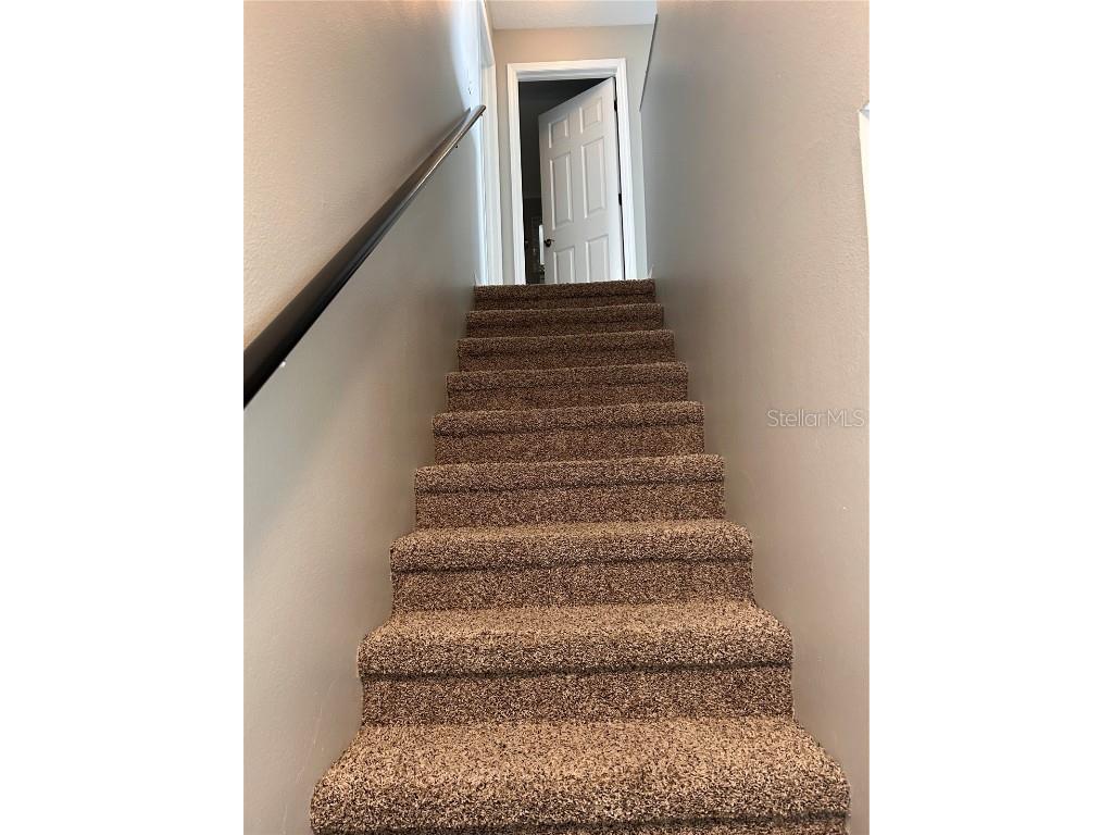 6156 Kiteridge Drive Lithia FL 33547 O6325574 image13