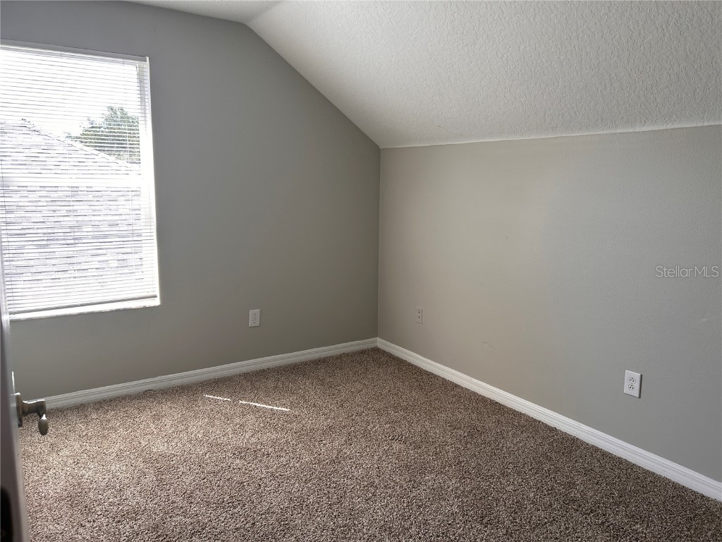 6156 Kiteridge Drive Lithia FL 33547 O6325574 image14