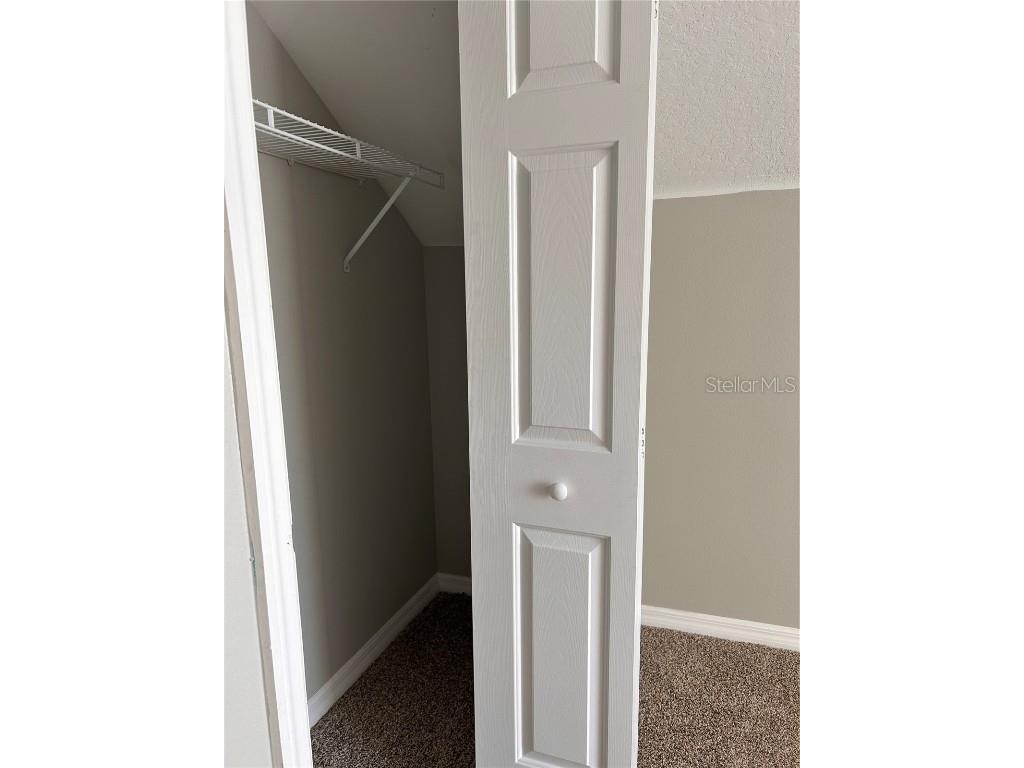 6156 Kiteridge Drive Lithia FL 33547 O6325574 image15