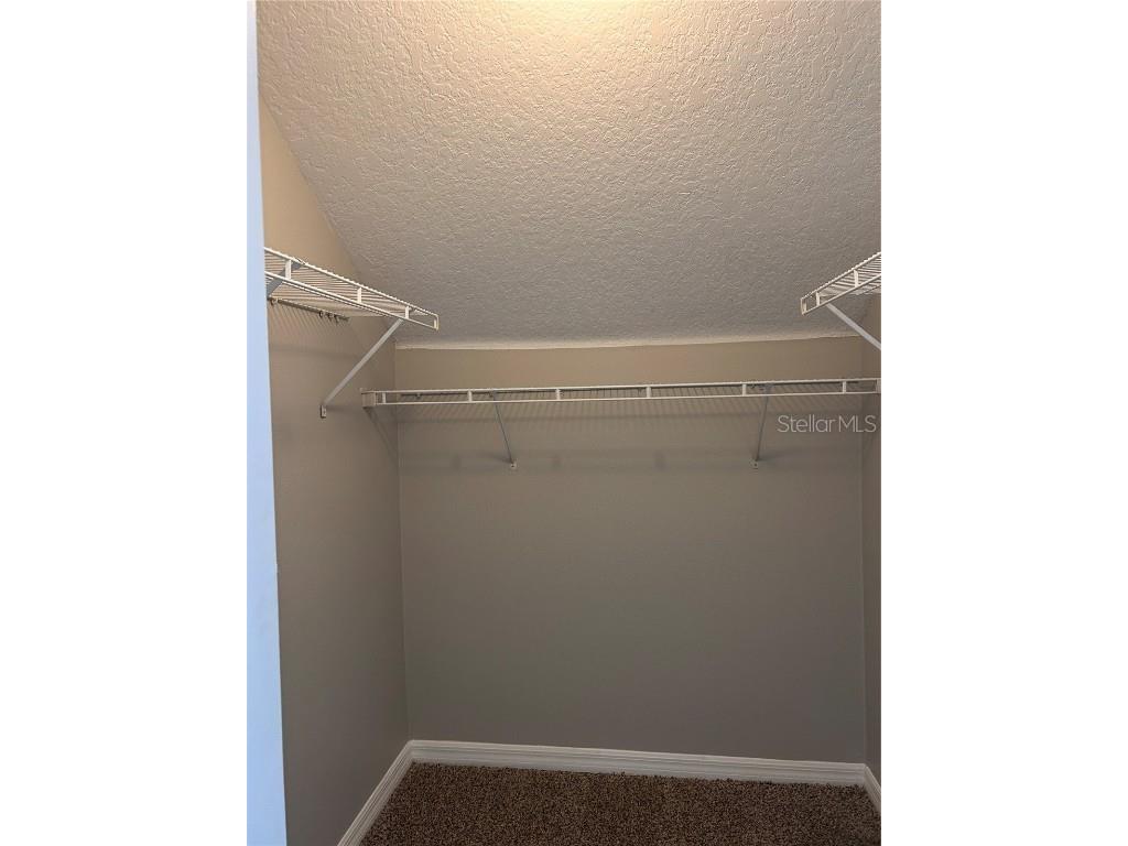 6156 Kiteridge Drive Lithia FL 33547 O6325574 image19