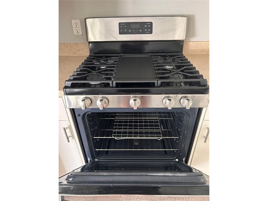 6156 Kiteridge Drive Lithia FL 33547 O6325574 image6