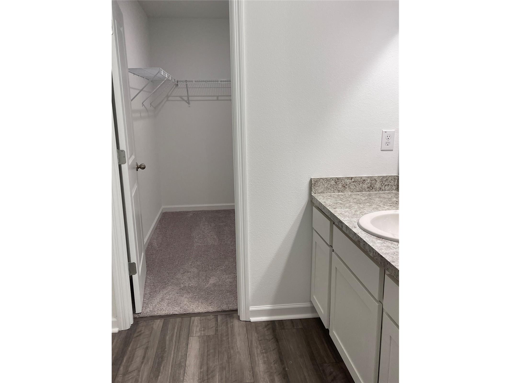 6157 Daerr Ridge #6157 Zephyrhills FL 33542 TB8501175 image12