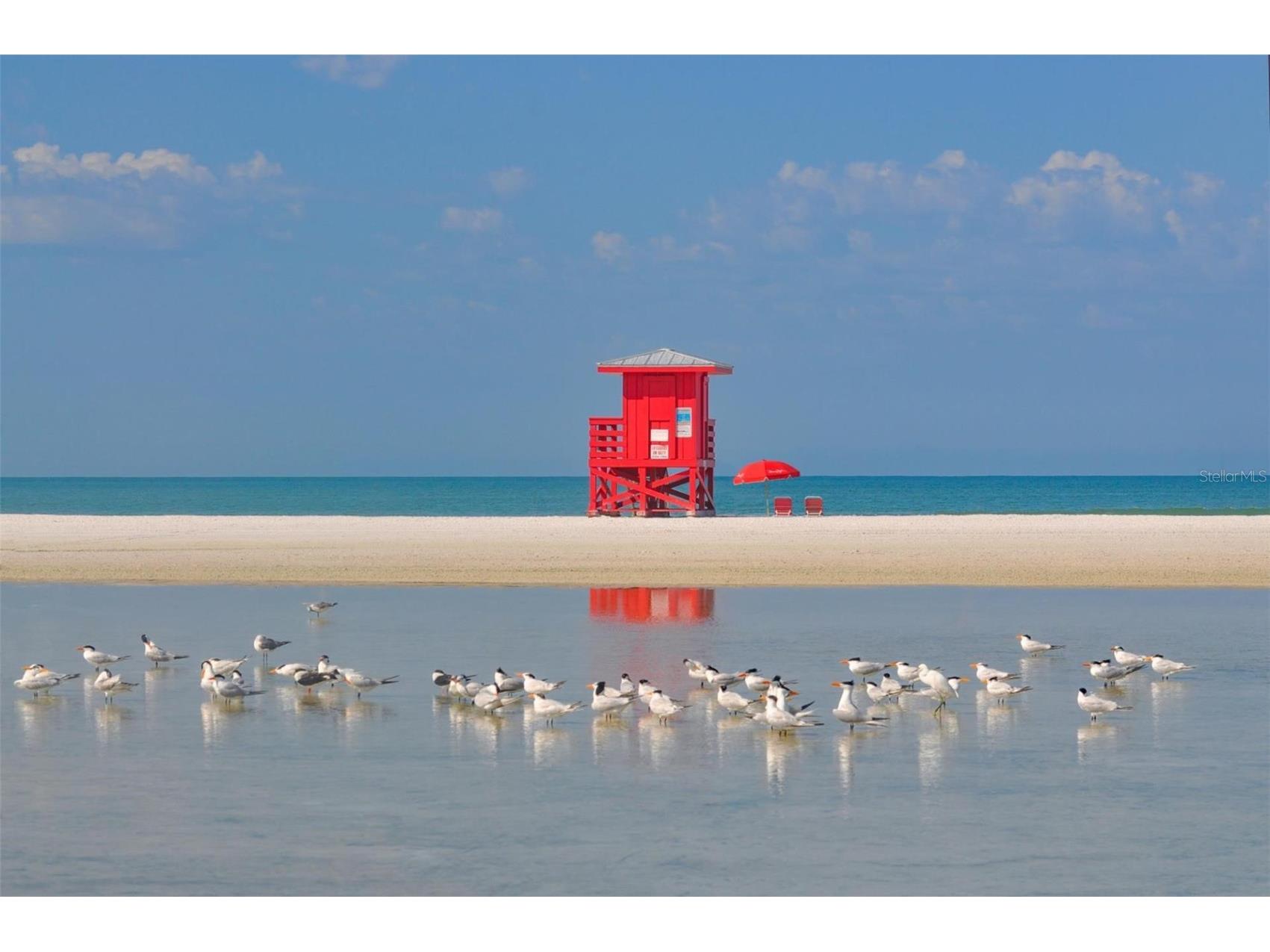 6157 Midnight Pass Road #B12 Sarasota FL 34242 - SARASOTA BAY INTRACOASTAL A4678073 image64
