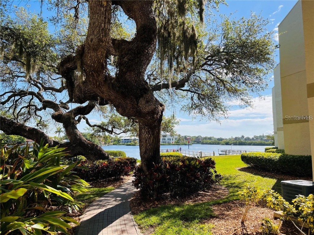 6157 Midnight Pass Road #D31 Sarasota FL 34242 N6137862 image34