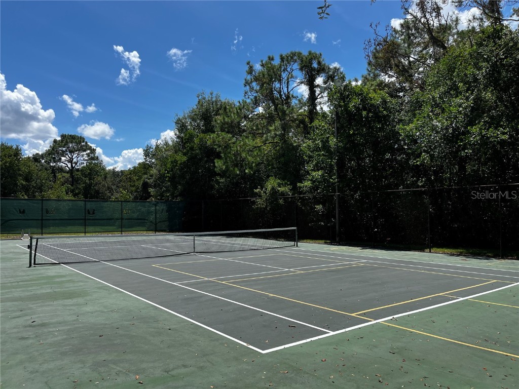 6157 N Silver Palm Way Beverly Hills FL 34465 OM708974 image52