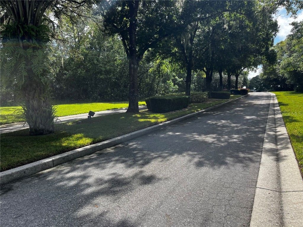 6157 N Silver Palm Way Beverly Hills FL 34465 OM708974 image53