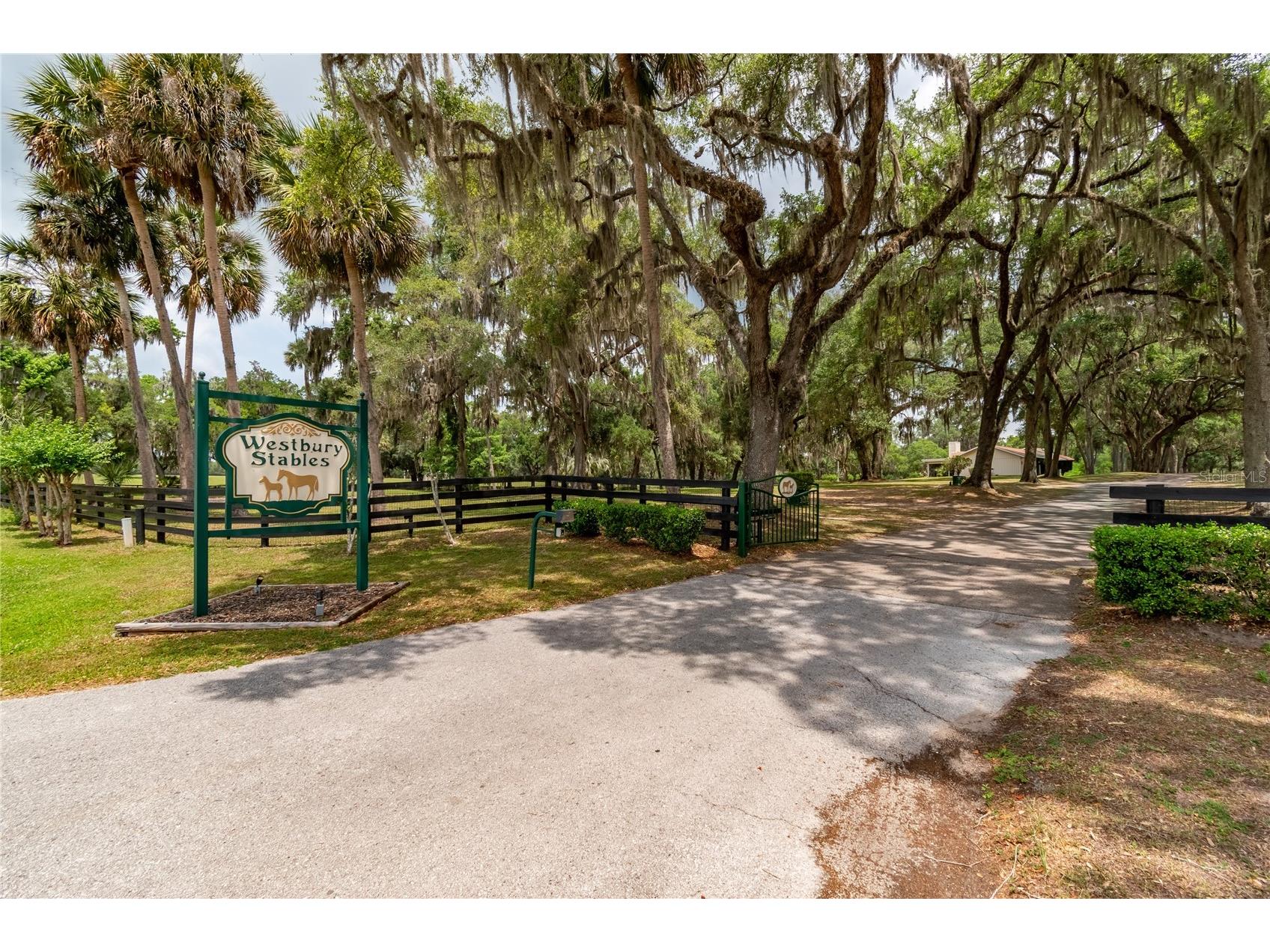 6157 W Highway 329 Reddick FL 32686 OM724606 image1