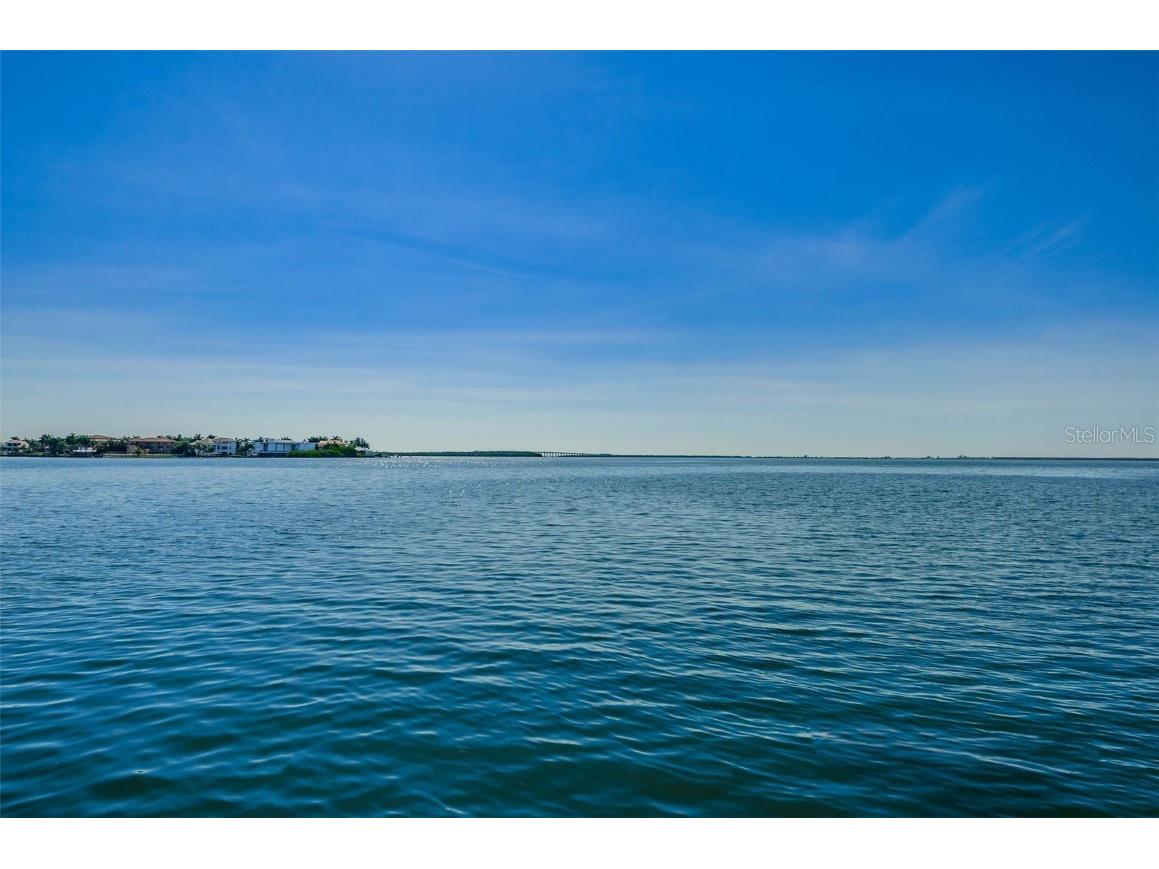 6158 Palma Del Mar Boulevard S #305 Saint Petersburg FL 33715 TB8413727 image51