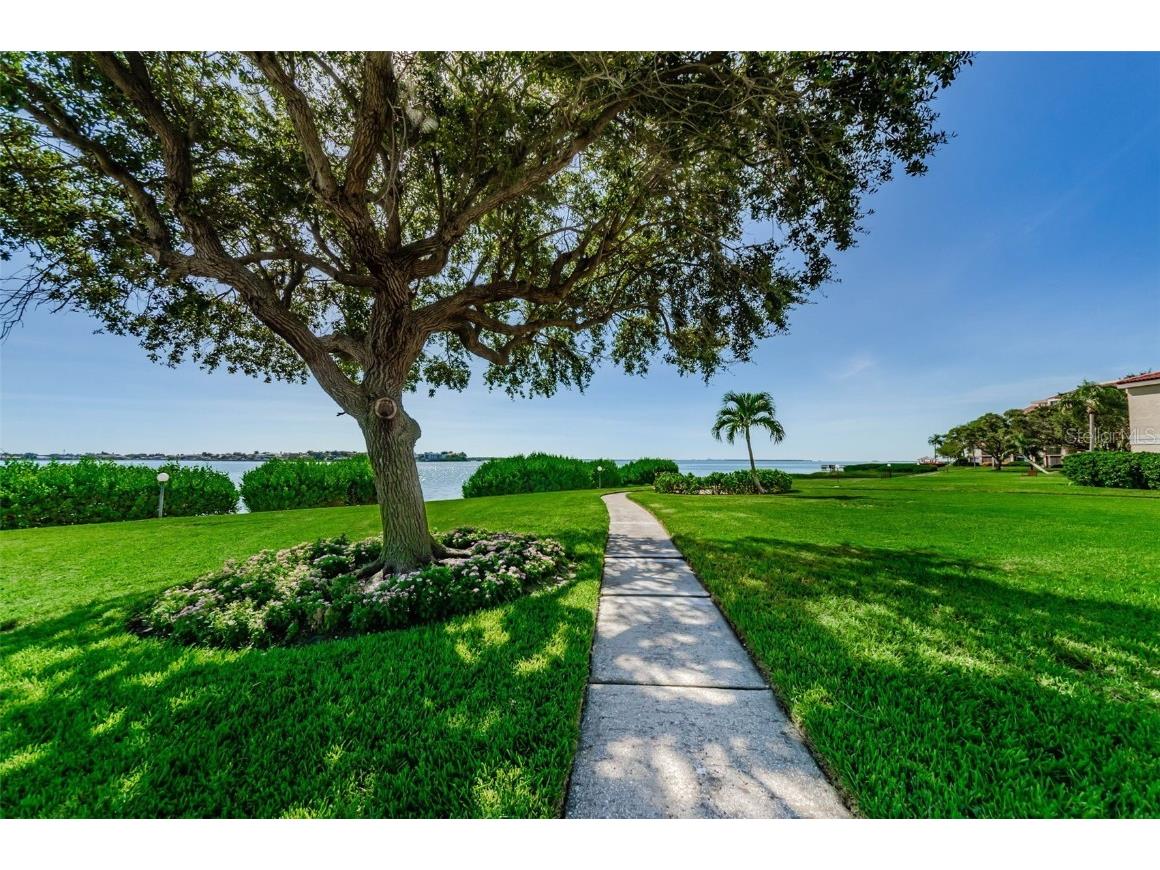 6158 Palma Del Mar Boulevard S #305 Saint Petersburg FL 33715 TB8413727 image58