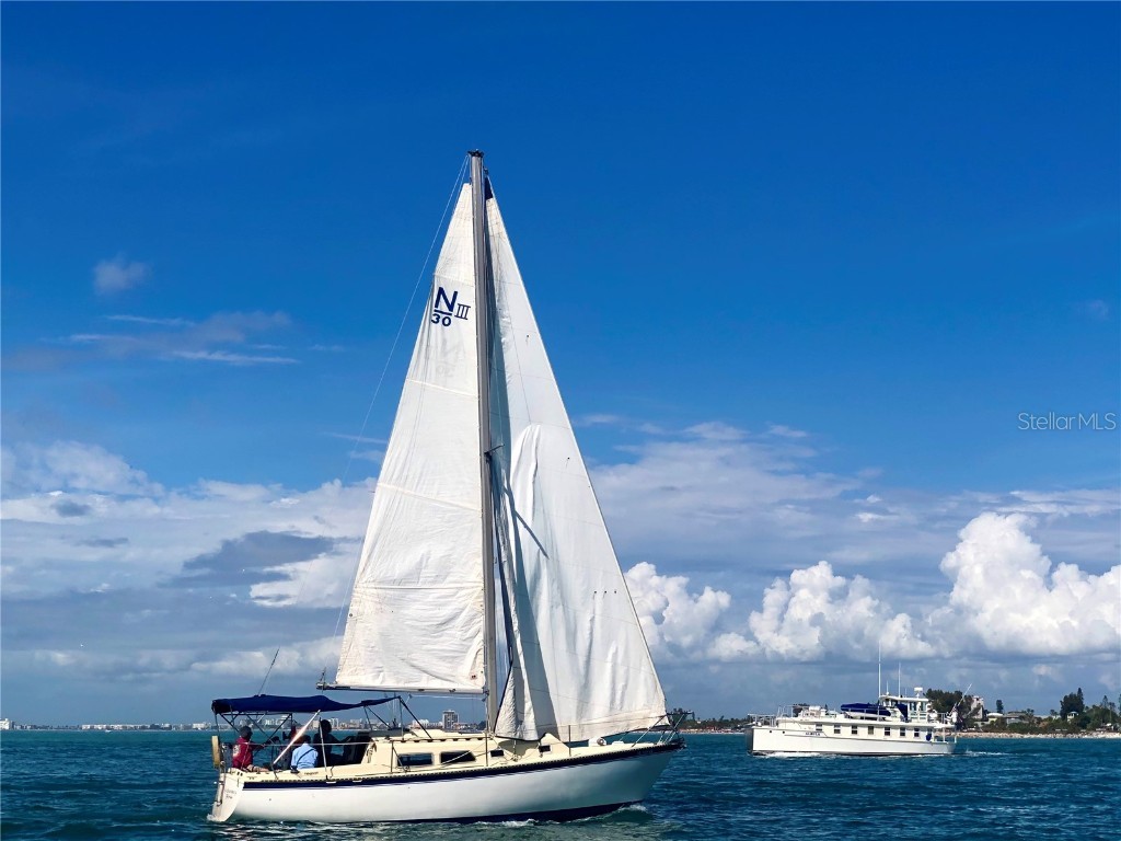 6158 Palma Del Mar Boulevard S #305 Saint Petersburg FL 33715 TB8413727 image62