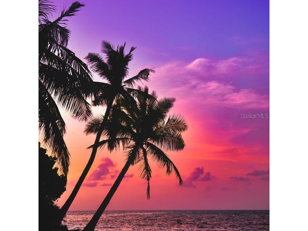 6158 Palma Del Mar Boulevard S #305 Saint Petersburg FL 33715 TB8413727 image66