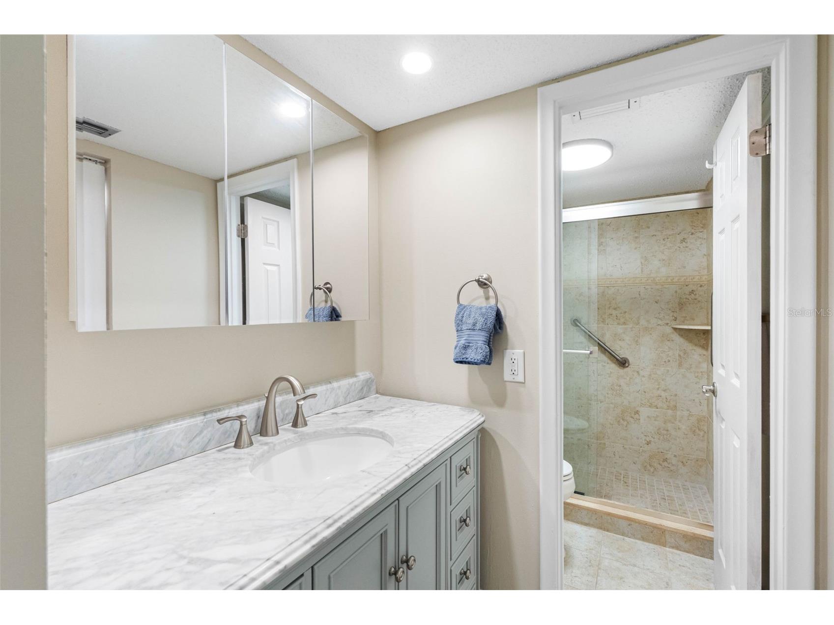 6158 Palma Del Mar Boulevard S #305 Saint Petersburg FL 33715 TB8509636 image33
