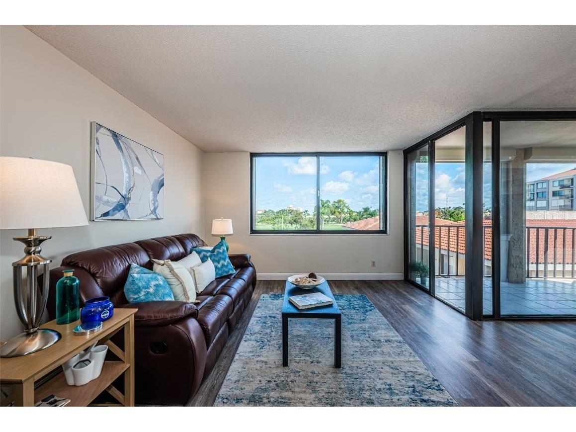 6158 Palma Del Mar Boulevard S #306 Saint Petersburg FL 33715 TB8386381 image10