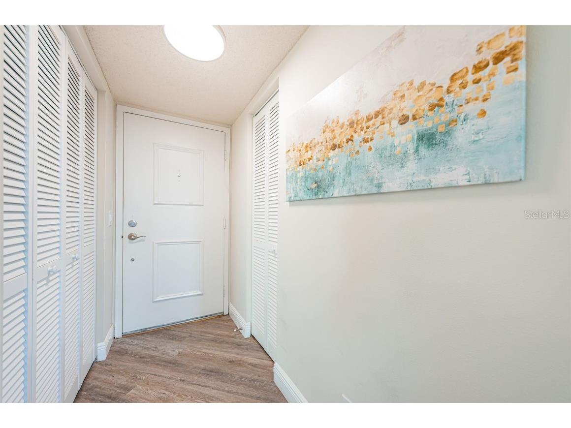 6158 Palma Del Mar Boulevard S #306 Saint Petersburg FL 33715 TB8386381 image26