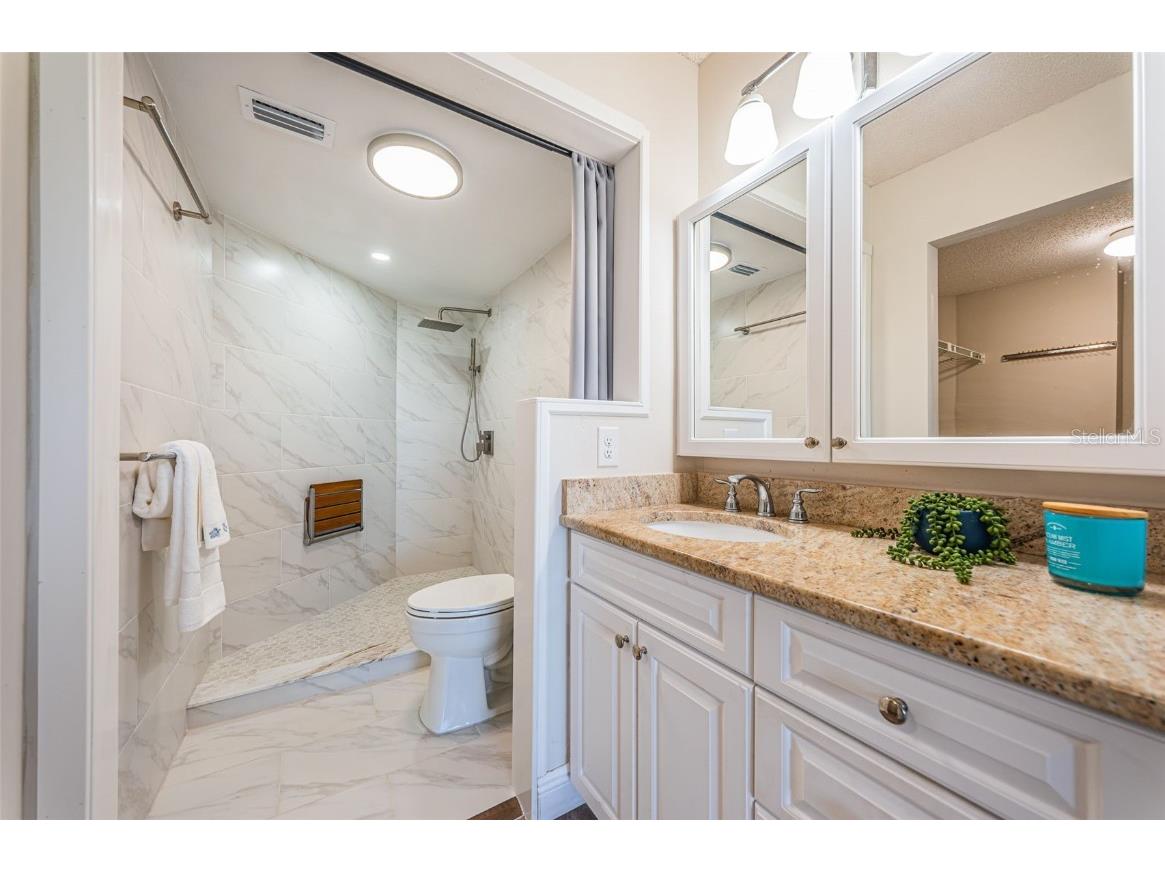 6158 Palma Del Mar Boulevard S #306 Saint Petersburg FL 33715 TB8386381 image31