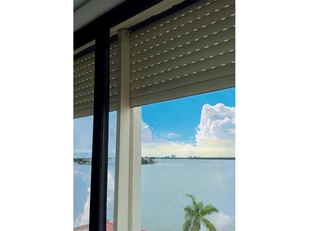 6158 Palma Del Mar Boulevard S #306 Saint Petersburg FL 33715 TB8386381 image34