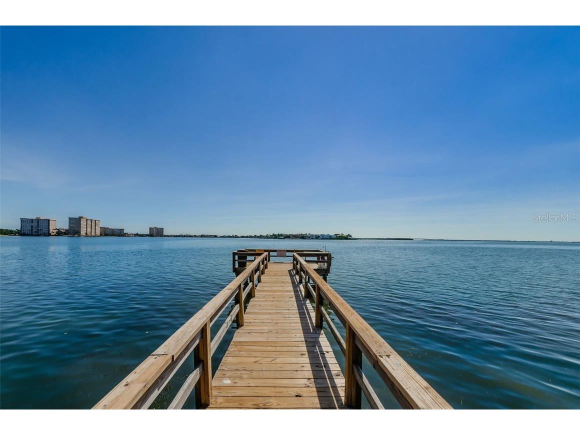 6158 Palma Del Mar Boulevard S #306 Saint Petersburg FL 33715 TB8386381 image44