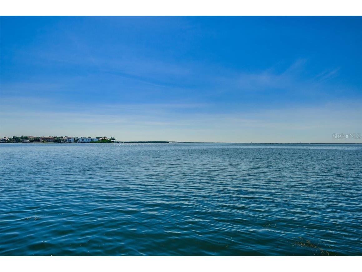 6158 Palma Del Mar Boulevard S #306 Saint Petersburg FL 33715 TB8386381 image46