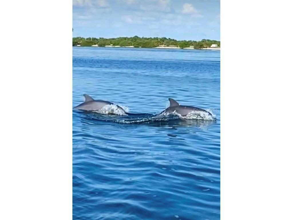 6158 Palma Del Mar Boulevard S #306 Saint Petersburg FL 33715 TB8386381 image61