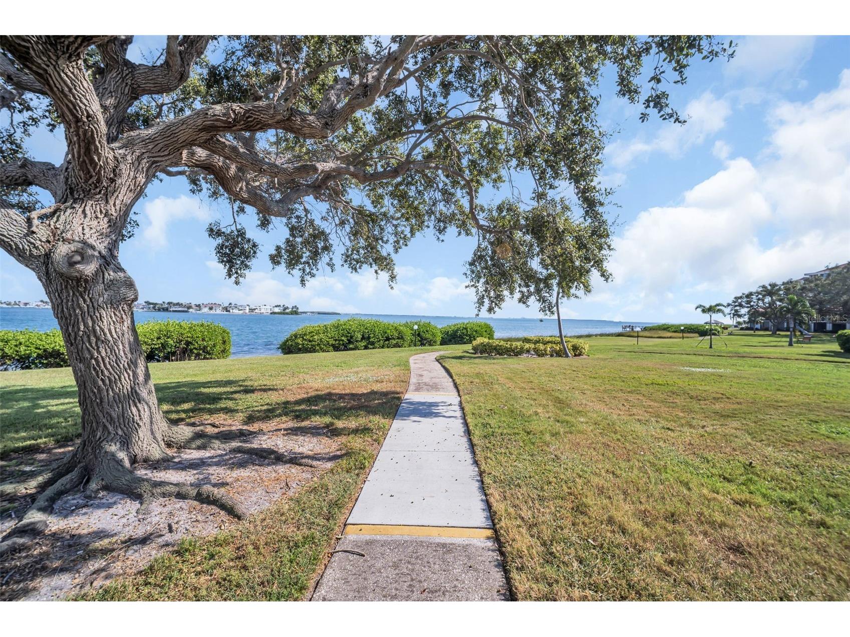 6158 Palma Del Mar So #505 Saint Petersburg FL 33715 TB8508988 image31