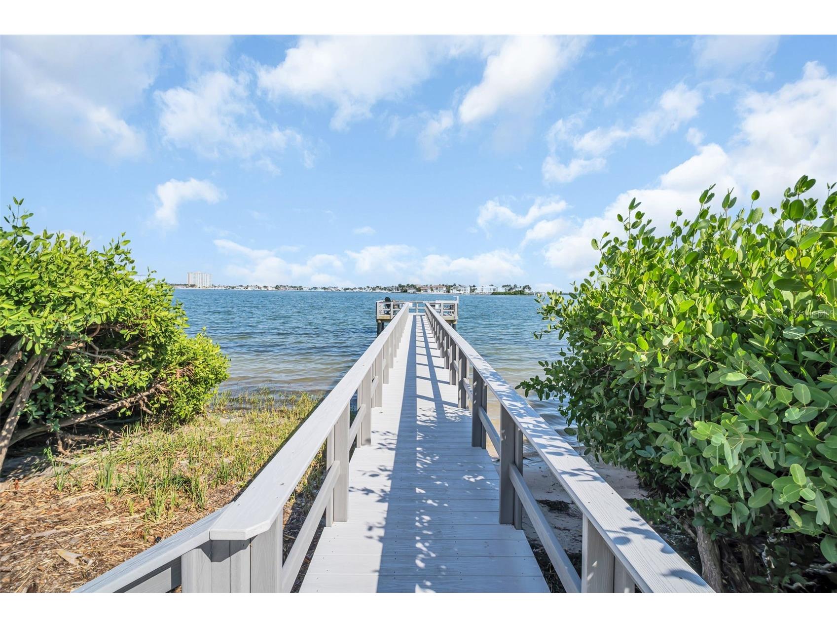 6158 Palma Del Mar So #505 Saint Petersburg FL 33715 TB8508988 image33