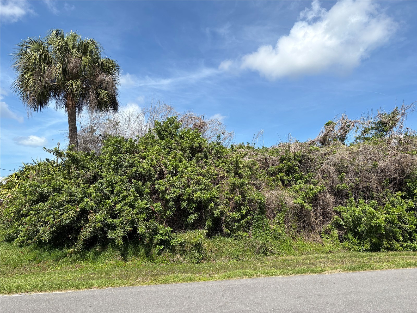 6159 Avila Street Englewood FL 34224 N6143683 image1