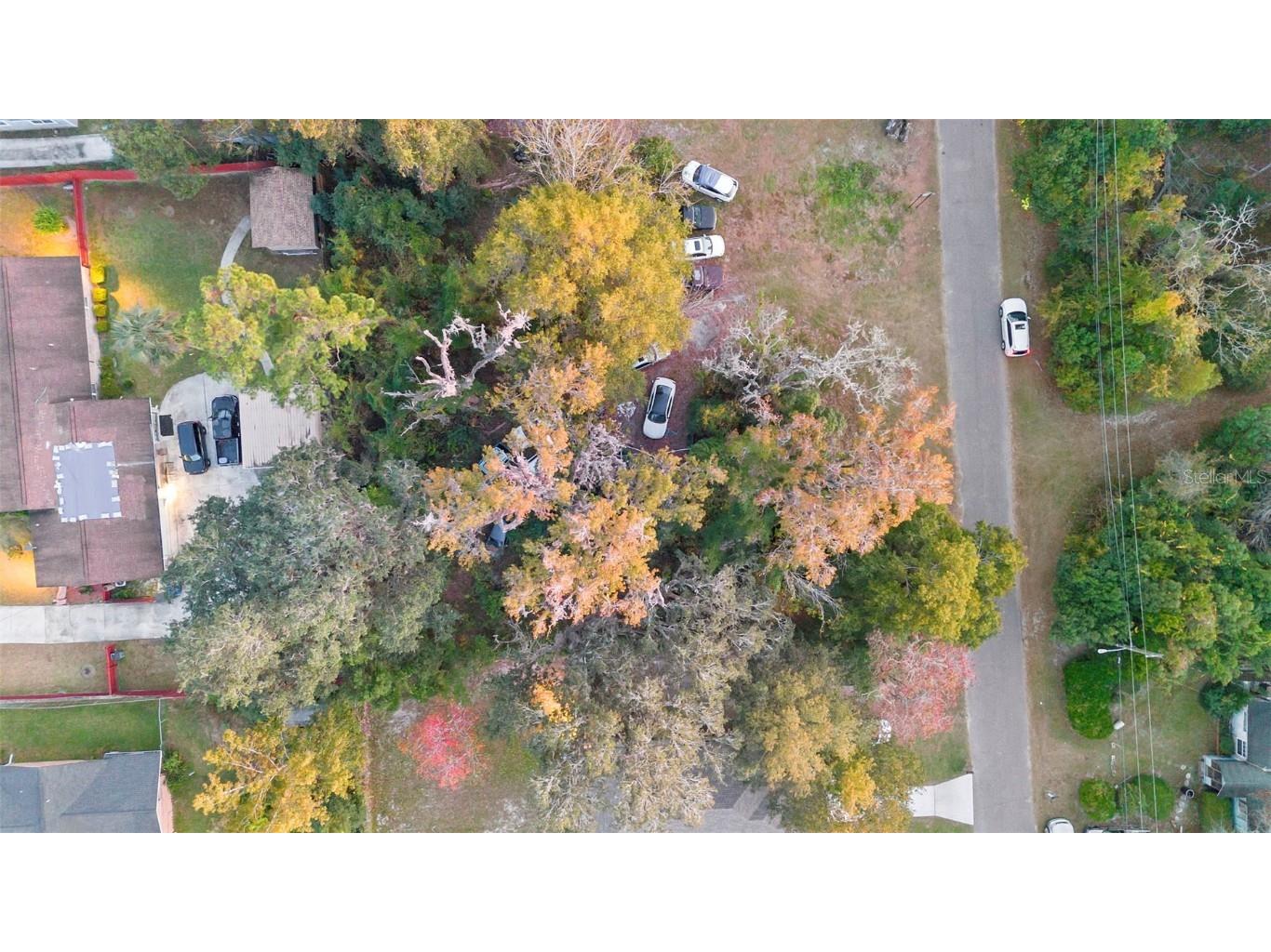 6159 Bagley Road Jacksonville FL 32209 V4945838 image7