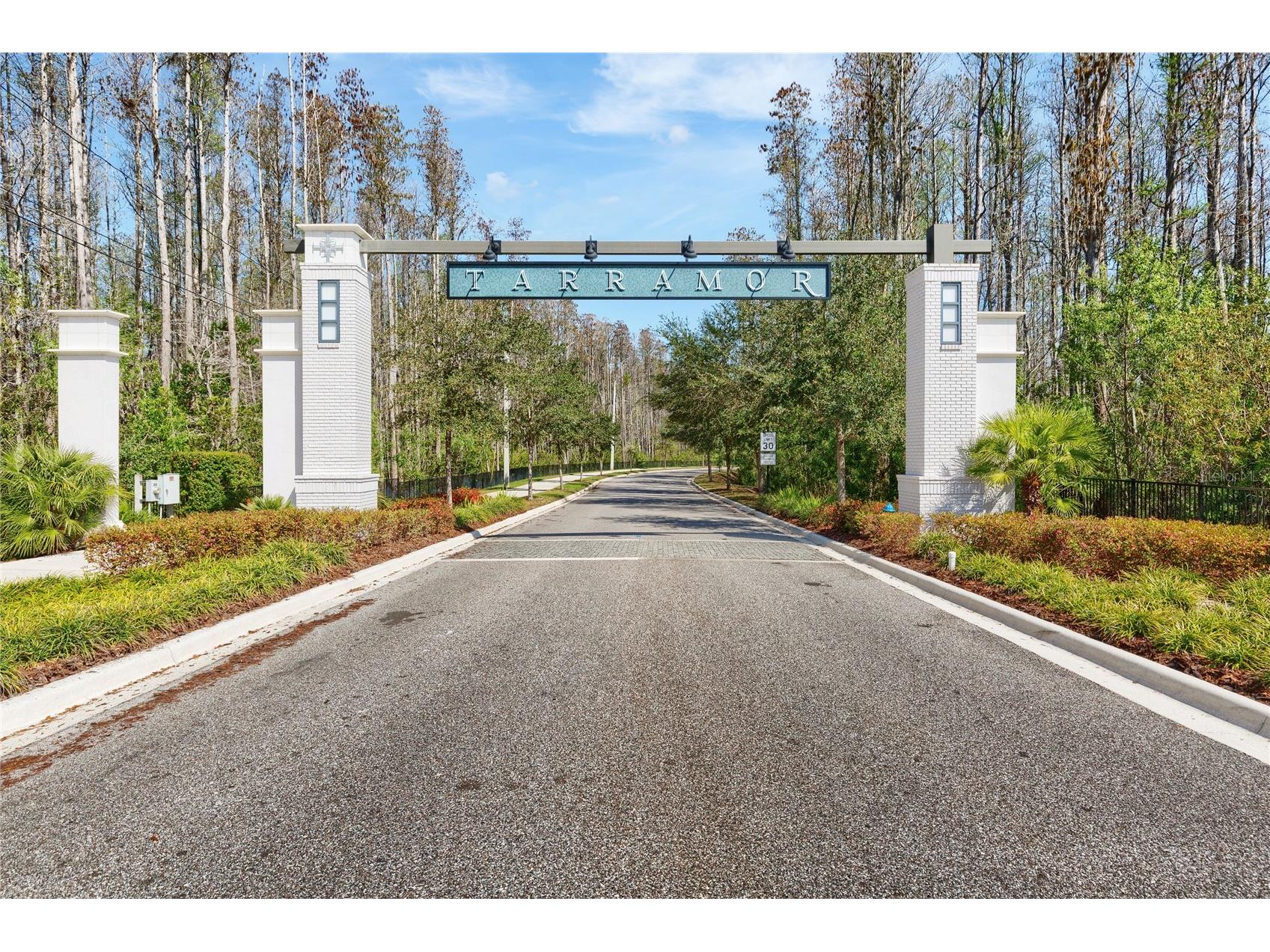 6159 Marsh Trail Odessa FL 33556 TB8485388 image47