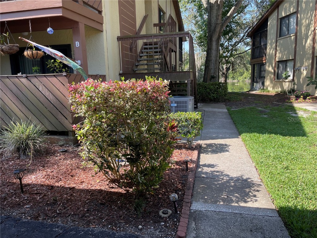 616 Baldwin Avenue #B Safety Harbor FL 34695 U8199009 image1