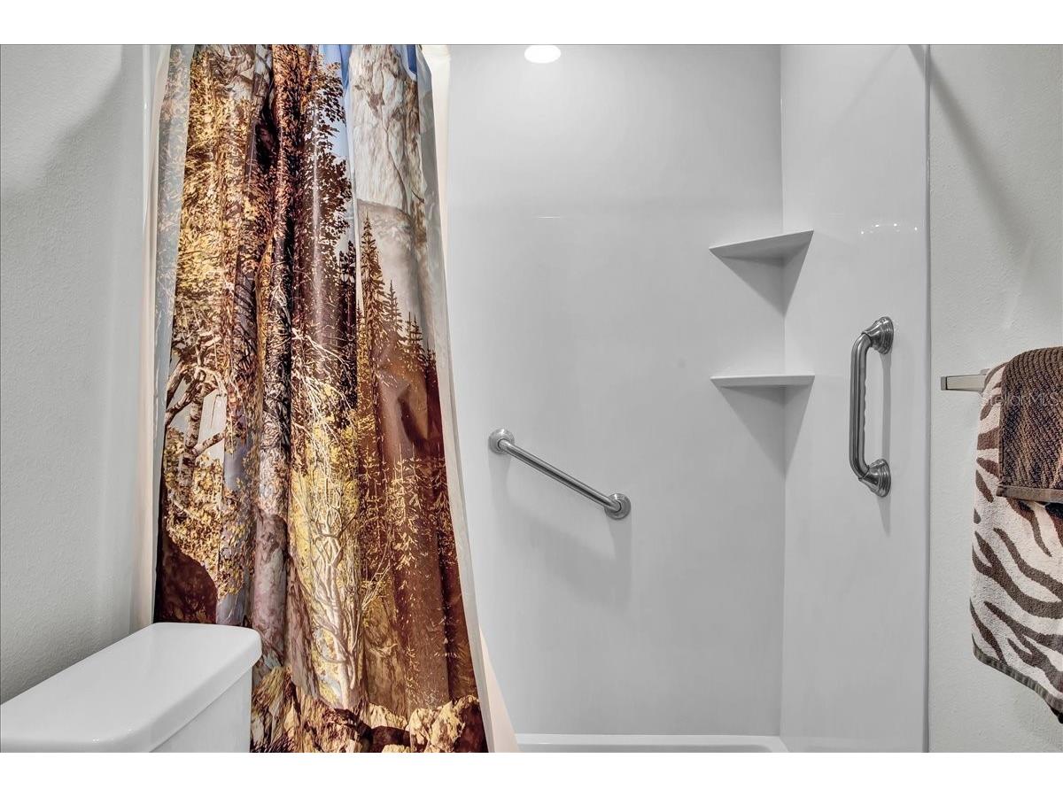 616 Chatham Walk Drive Ruskin FL 33570 TB8493593 image62