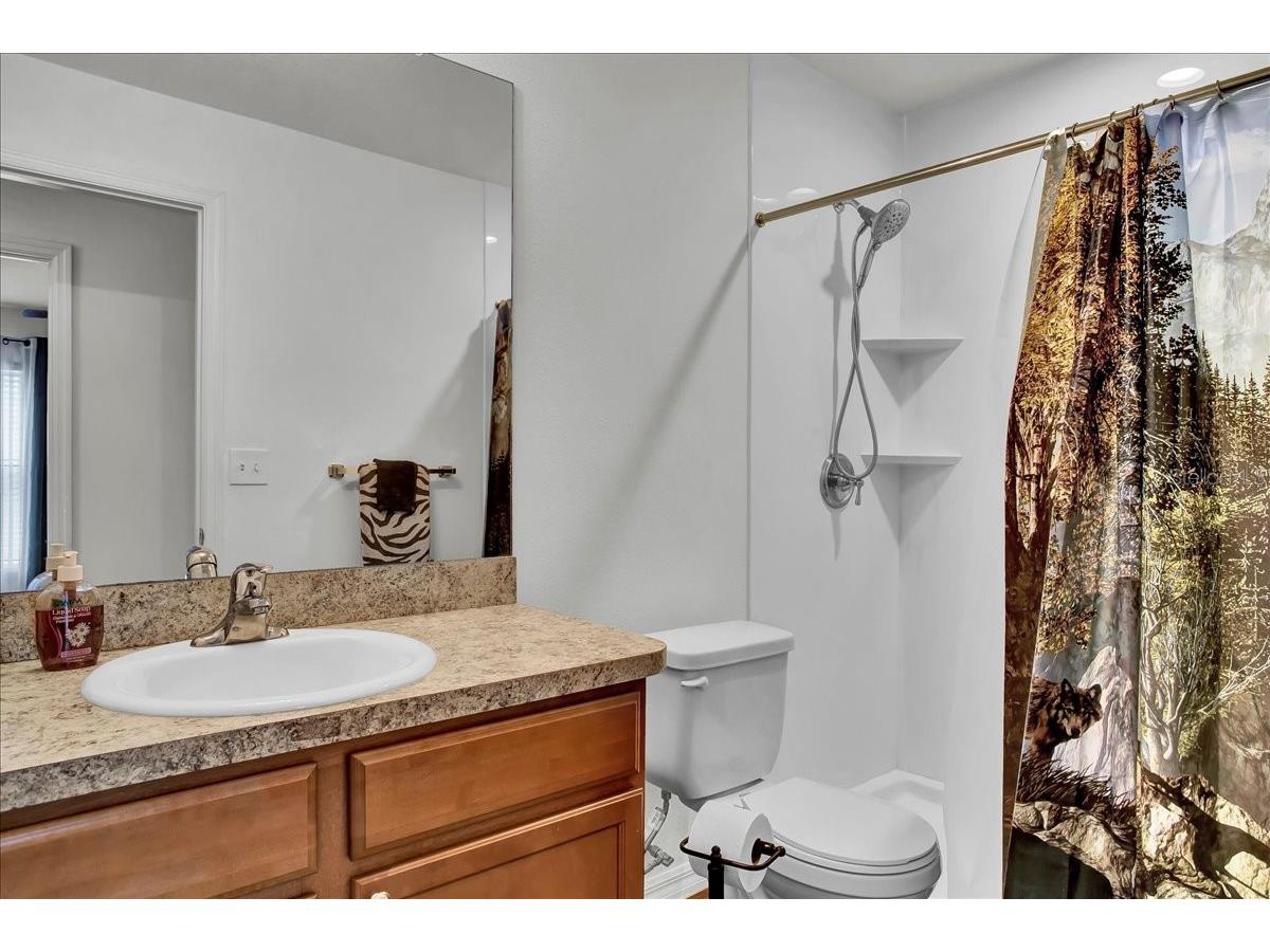 616 Chatham Walk Drive Ruskin FL 33570 TB8493593 image63