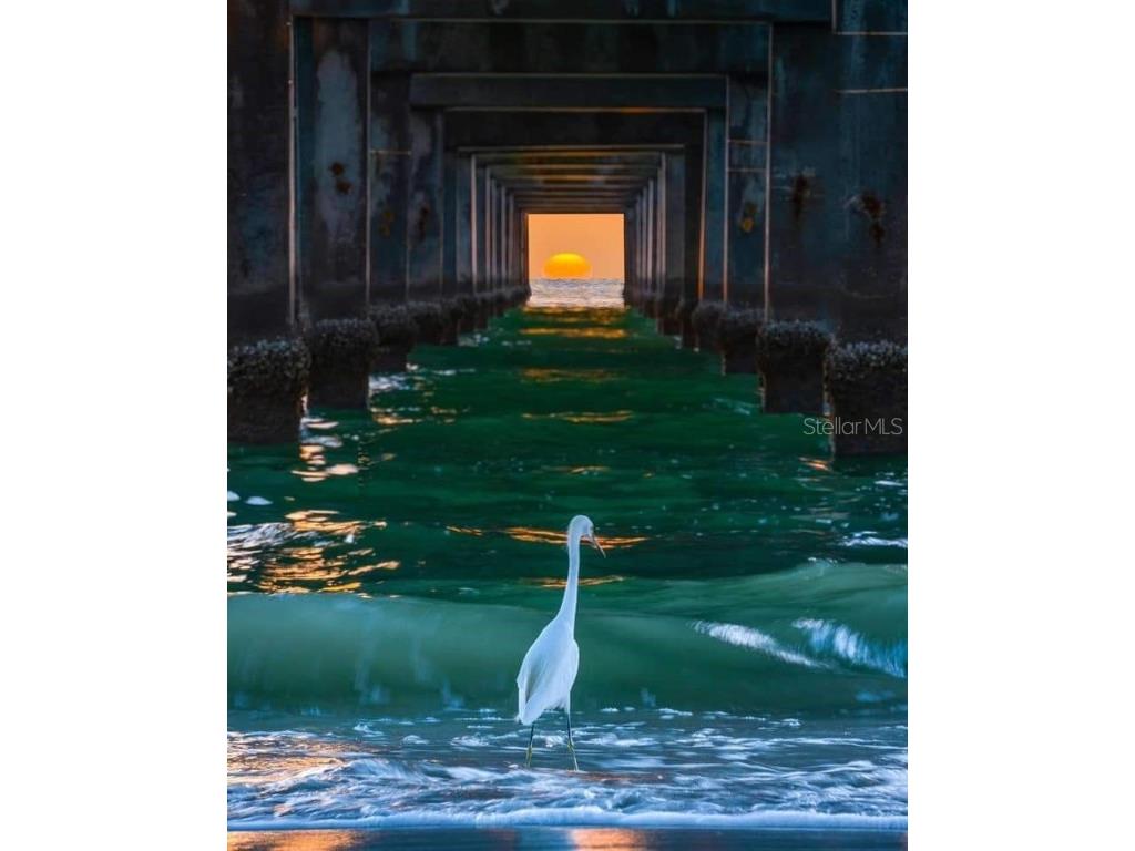 616 Circlewood Drive #S2-14 Venice FL 34293 N6141061 image45