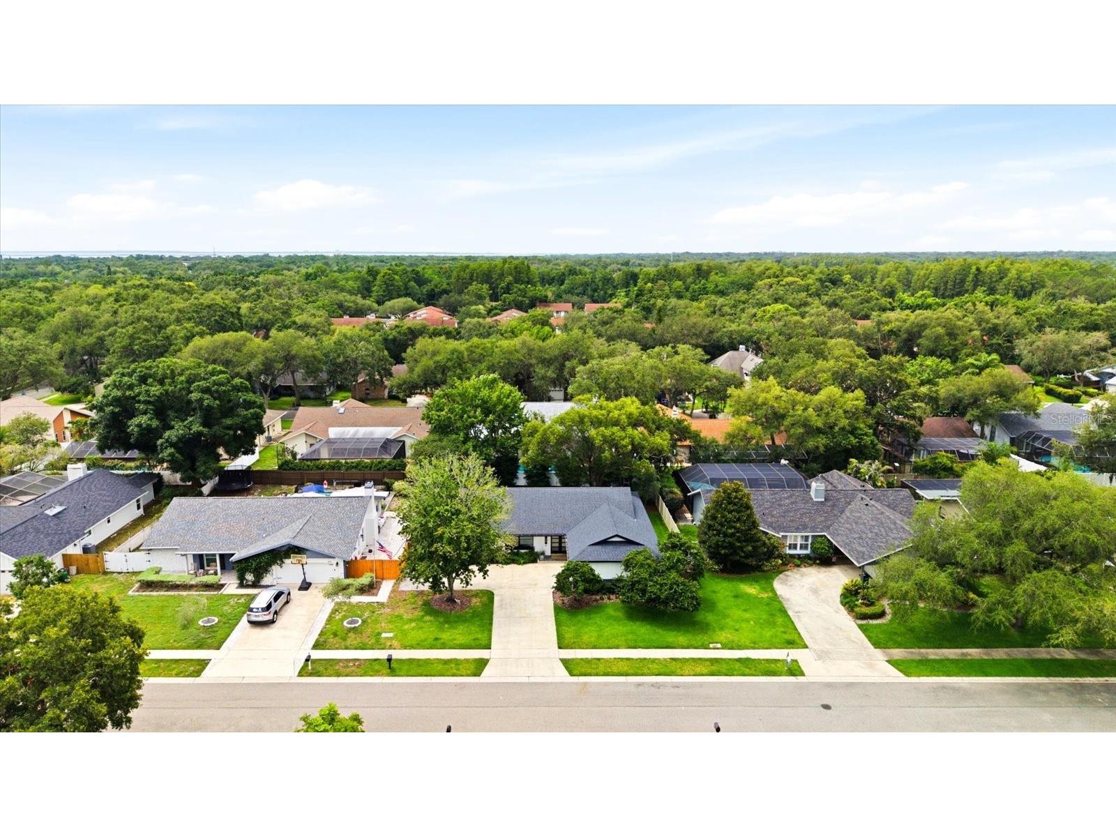 616 Fayette Drive N Safety Harbor FL 34695 TB8514894 image55