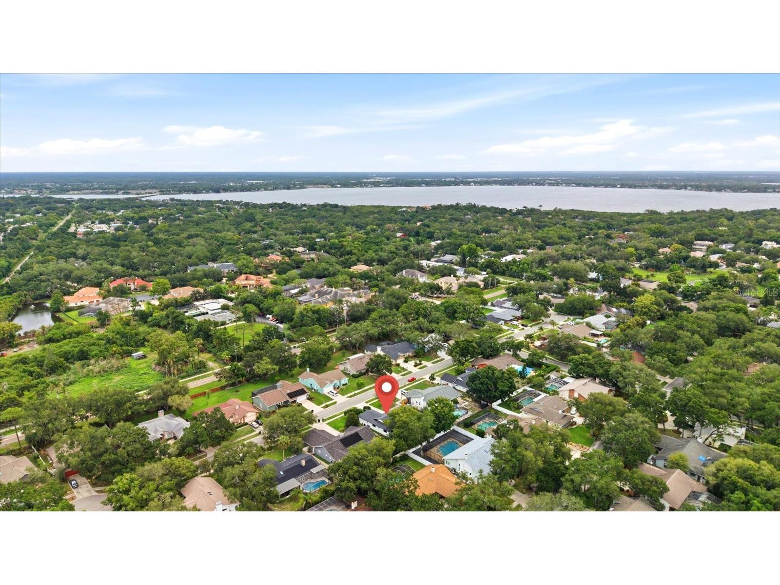 616 Fayette Drive N Safety Harbor FL 34695 TB8514894 image57