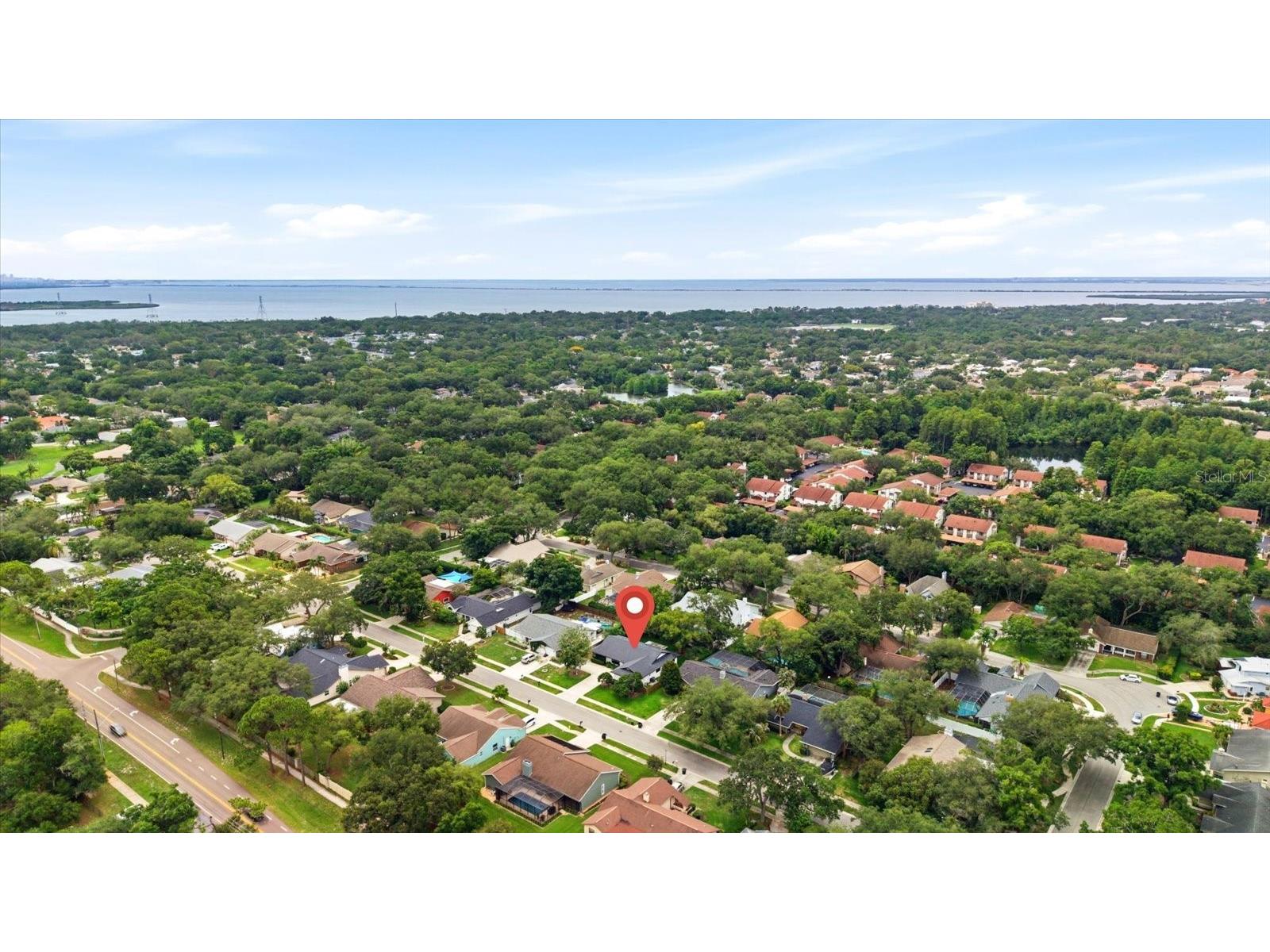 616 Fayette Drive N Safety Harbor FL 34695 TB8514894 image58