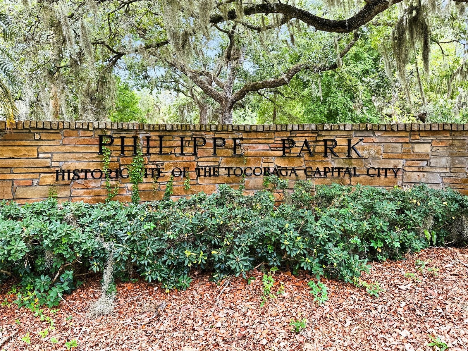 616 Fayette Drive N Safety Harbor FL 34695 TB8514894 image59