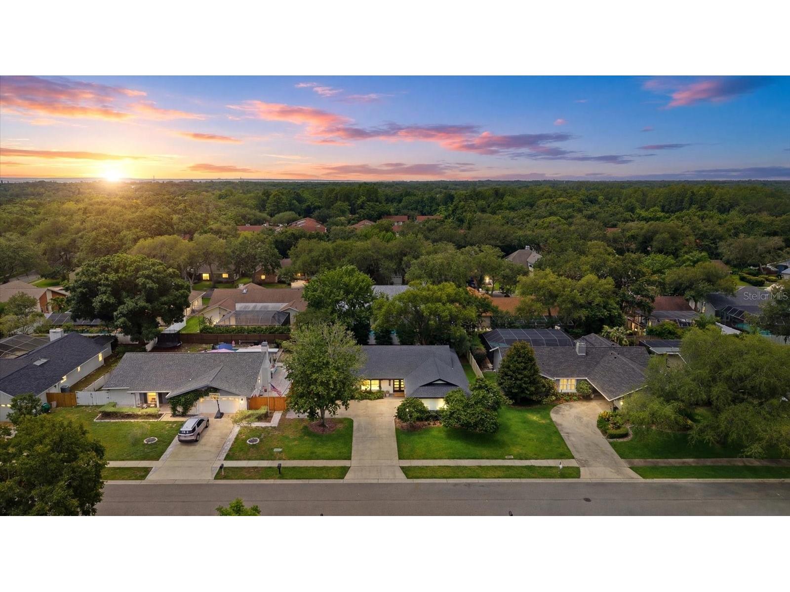 616 Fayette Drive N Safety Harbor FL 34695 TB8514894 image66