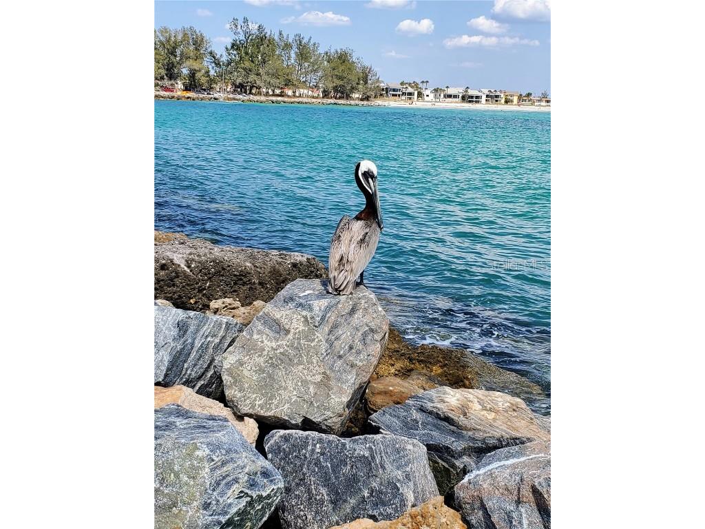 616 Guild Drive #2 Venice FL 34285 N6138019 image55