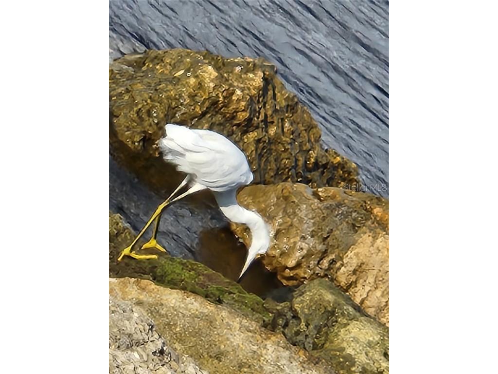 616 Guild Drive #2 Venice FL 34285 N6138019 image68