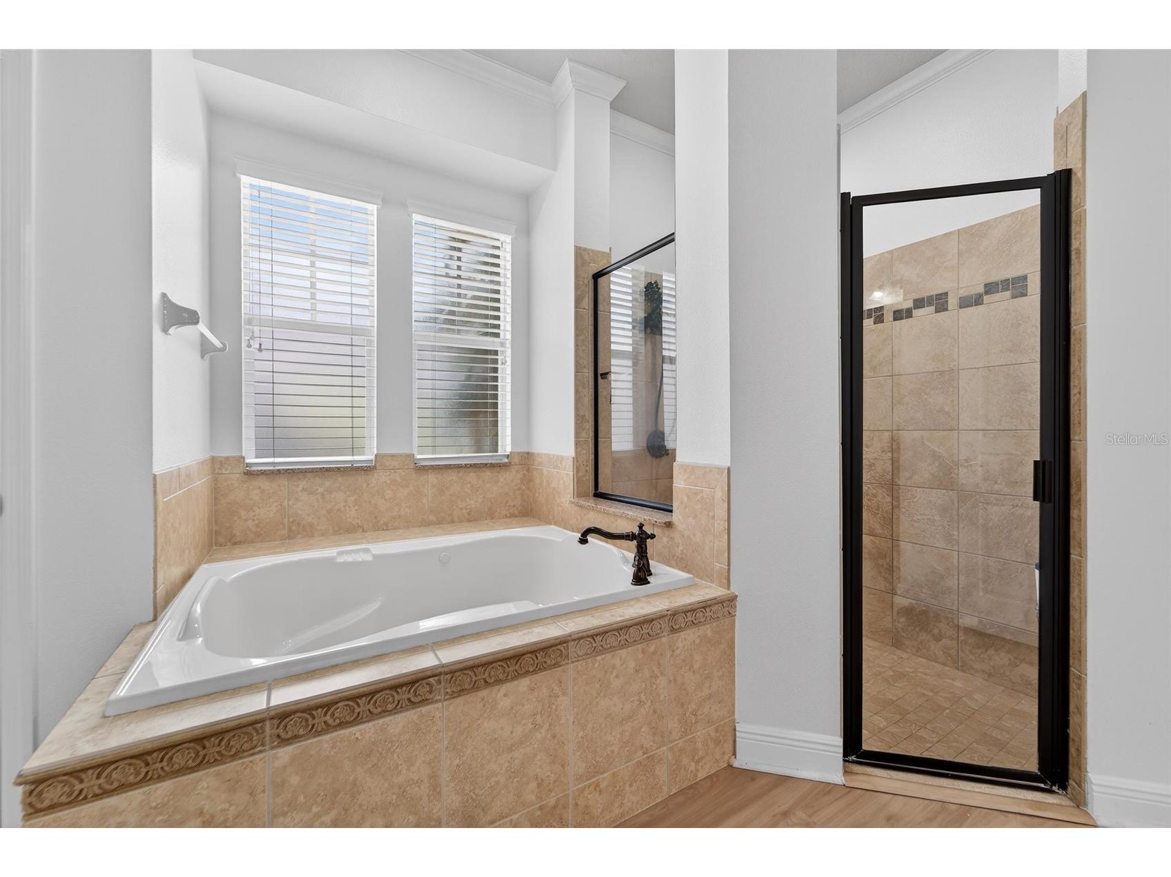 616 Mirabay Boulevard Apollo Beach FL 33572 TB8482158 image31