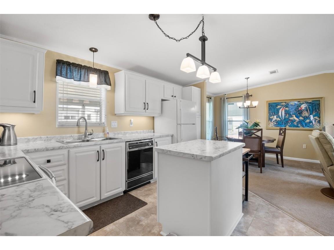 616 Mount Lancaster Avenue NE #650 Saint Petersburg FL 33702 - TAMPA BAY TB8461724 image8