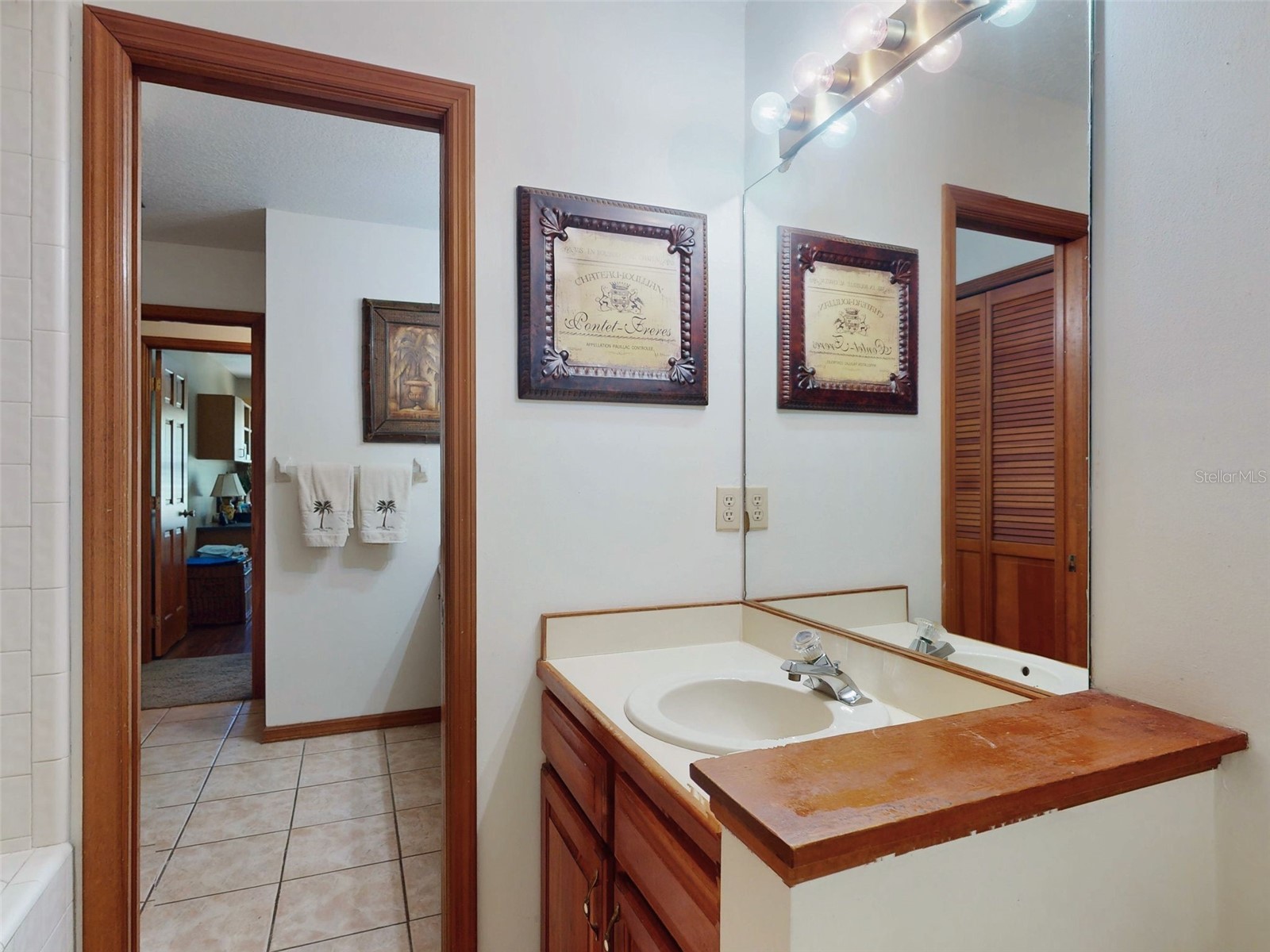 616 Mourning Dove Circle Lake Mary FL 32746 O6400326 image47